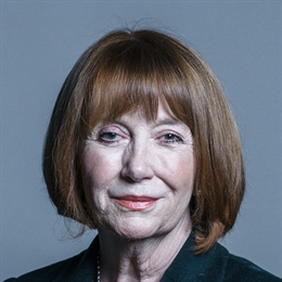 1:1 portrait of Baroness Symons of Vernham Dean