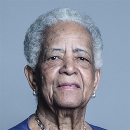 1:1 portrait of Baroness Howells of St Davids
