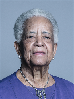 3:4 portrait of Baroness Howells of St Davids