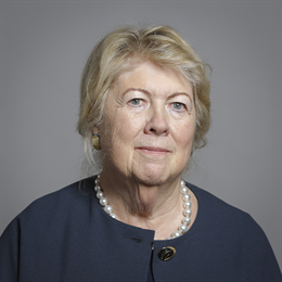1:1 portrait of Baroness Goudie