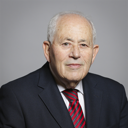 1:1 portrait of Lord Palmer of Childs Hill