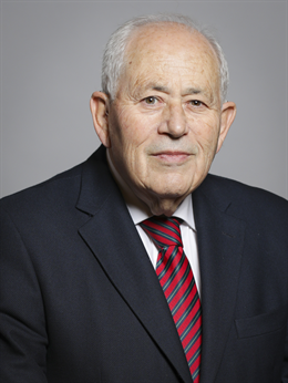 3:4 portrait of Lord Palmer of Childs Hill