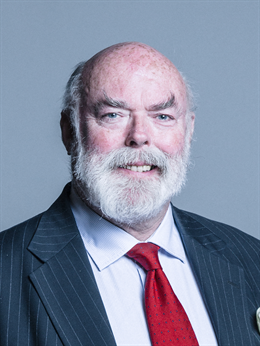 3:4 portrait of Lord Lisvane