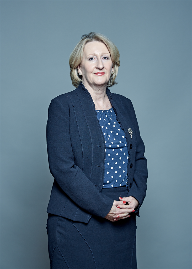 Full sized portrait of Mary Robinson