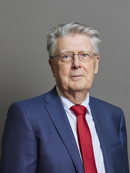 3:4 portrait of Lord Davies of Brixton