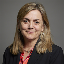1:1 portrait of Baroness Willis of Summertown